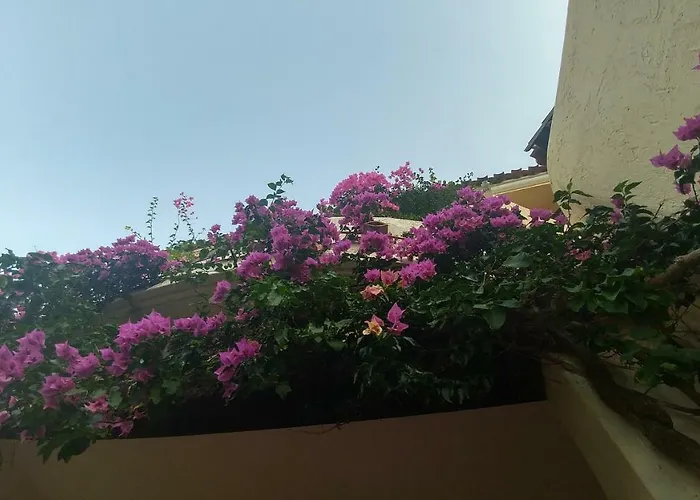 Villetta Via Nenni فيلة